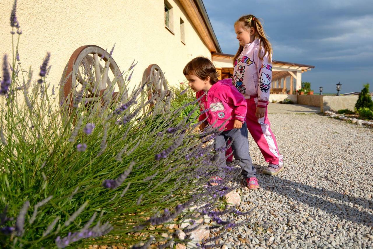 Bio Farma & Penzion Zlaty Hyl Novacany エクステリア 写真