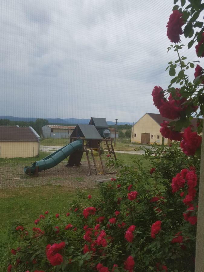 Bio Farma & Penzion Zlaty Hyl Novacany エクステリア 写真